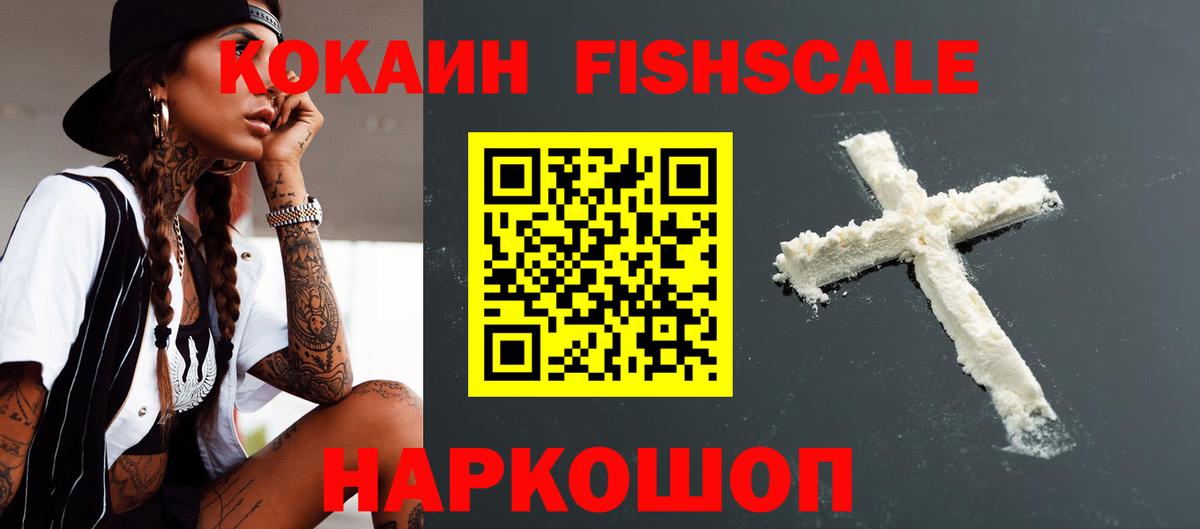  COCAIN Гатчина