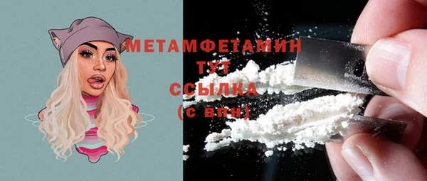 молекула духа Богданович
