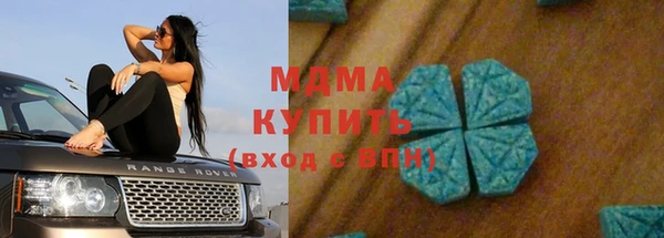 молекула духа Богданович