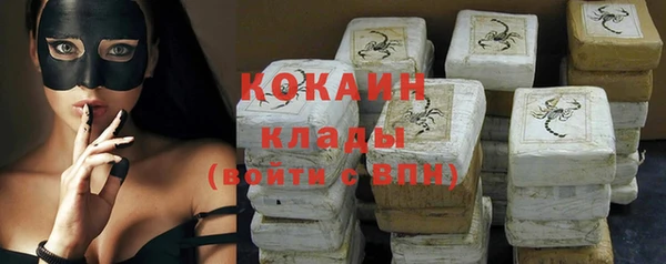 молекула духа Богданович