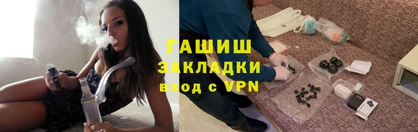 молекула духа Богданович