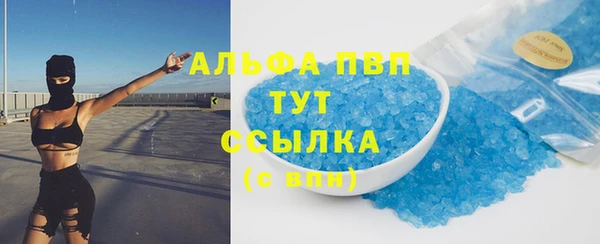 молекула духа Богданович