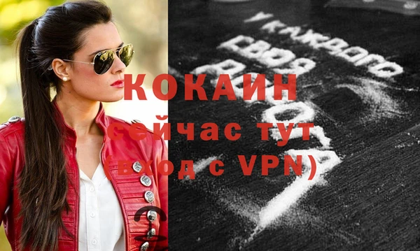молекула духа Богданович