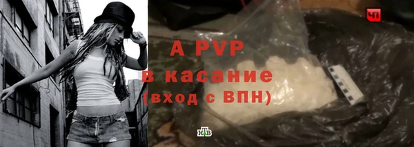молекула духа Богданович