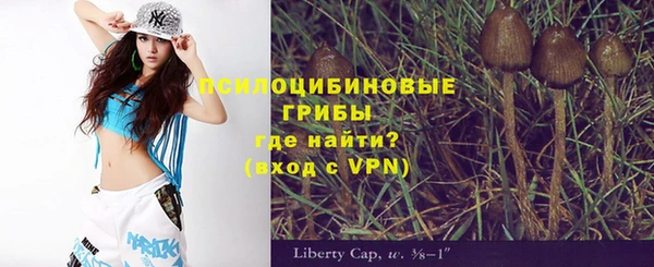 дмт Бородино