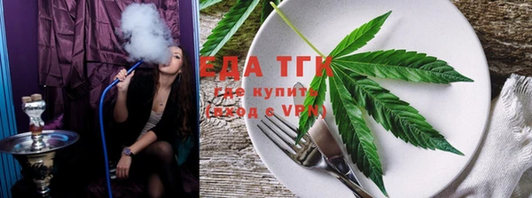 молекула духа Богданович