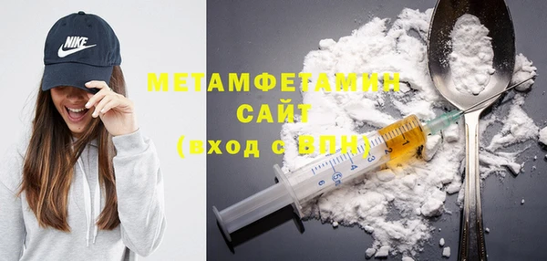 молекула духа Богданович