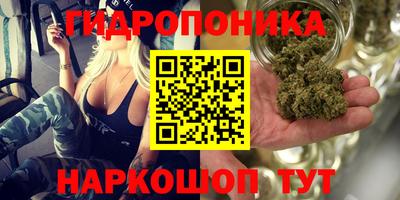 марки lsd Бийск