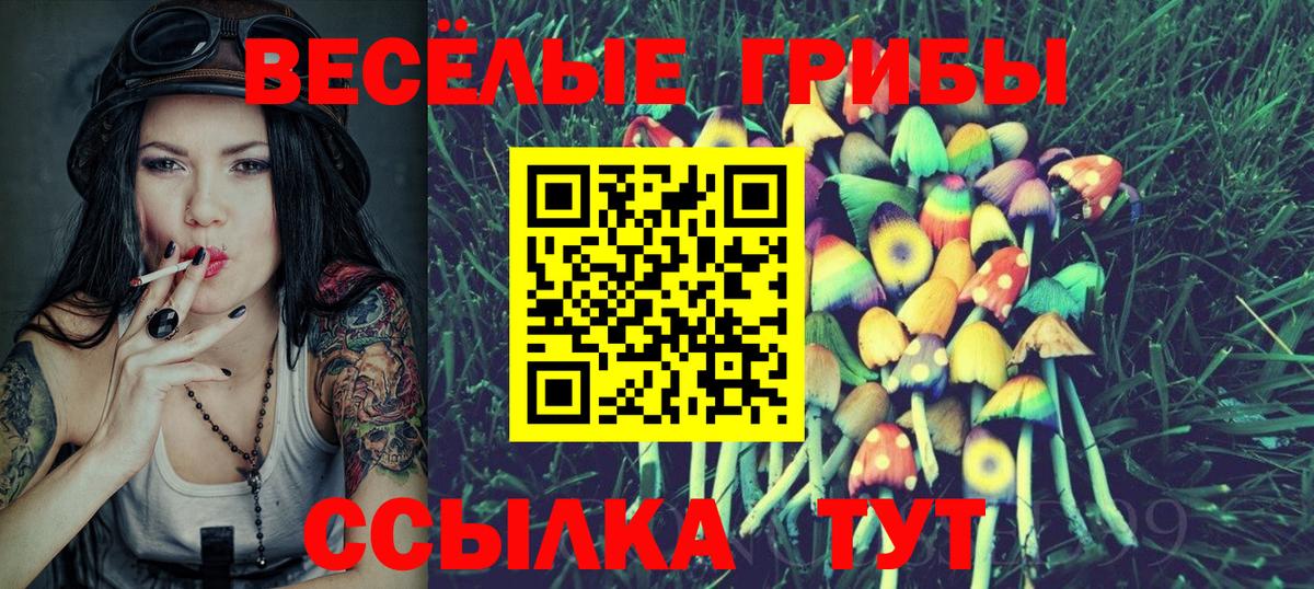 Галлюциногенные грибы Cubensis Гатчина