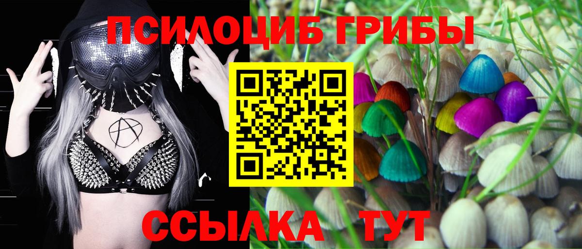 Псилоцибиновые грибы Magic Shrooms  Гатчина  Псилоцибиновые грибы ЛСД 