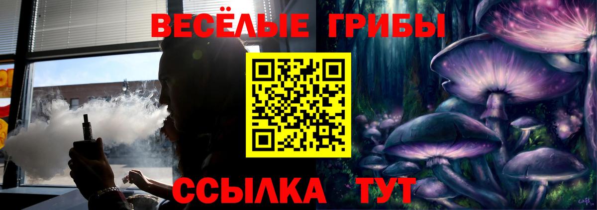 Галлюциногенные грибы Psilocybine cubensis Гатчина