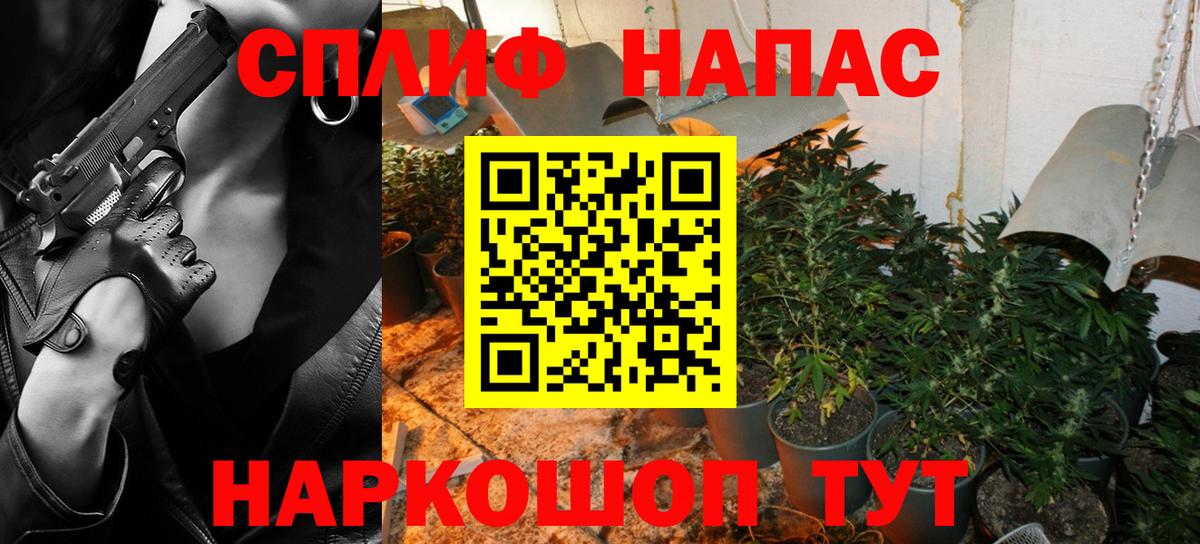 Конопля сатива  Бошки марихуана план  Вход с VPN  Марихуана VHQ  Гатчина 